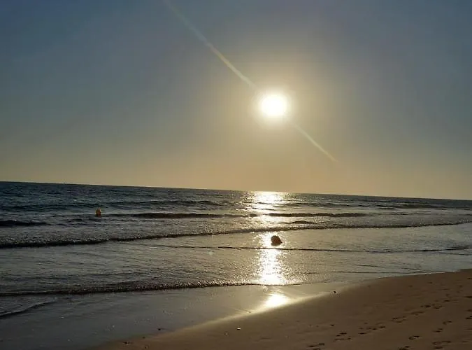 La Casa De Carmen Centro Historico , Free Parking 公寓 加的斯